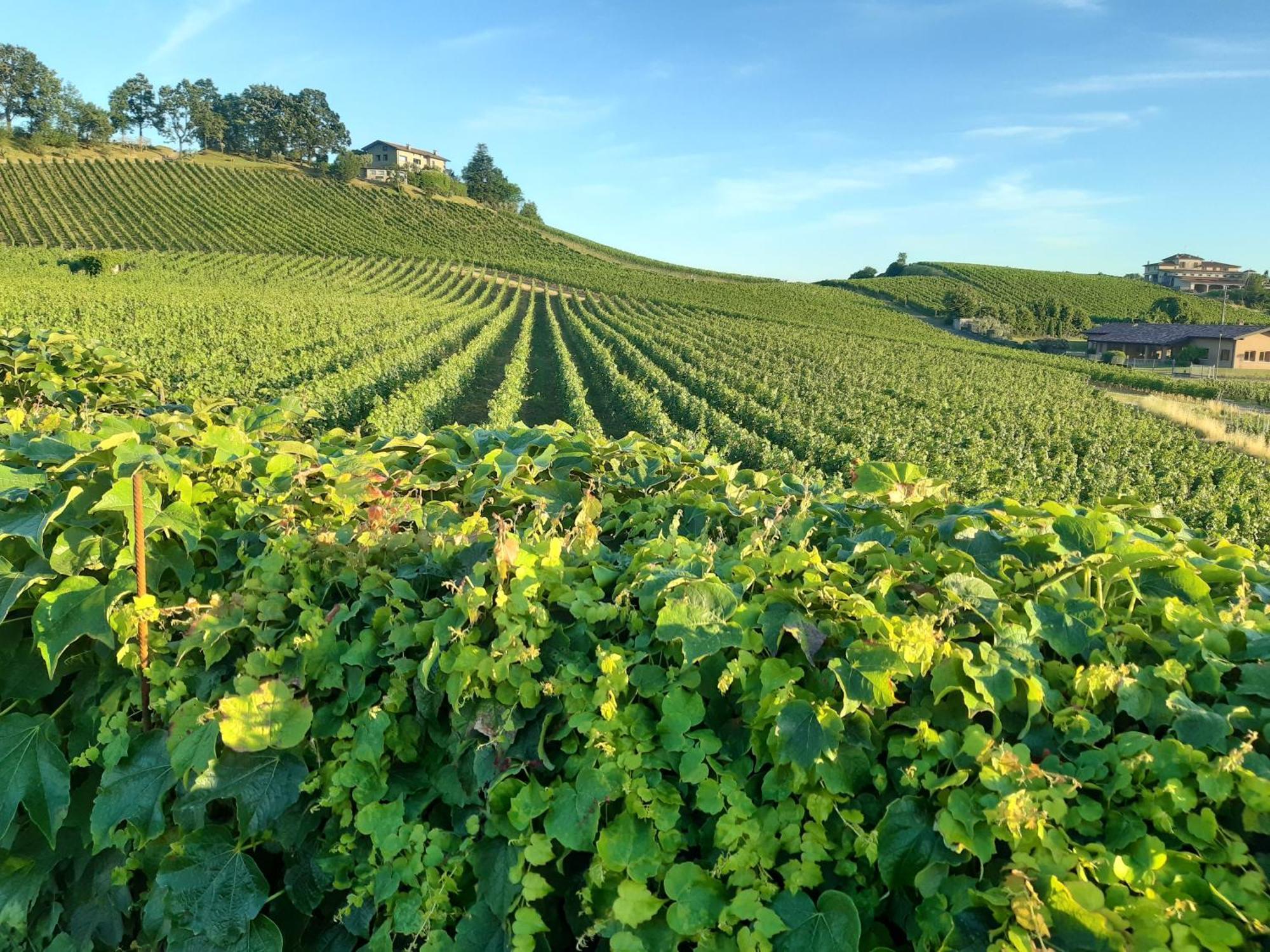 Appartamento Franciacorta Cazzago San Martino Ngoại thất bức ảnh